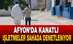 Afyon’da kanatlı işletmeler sahada denetleniyor