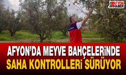 Afyon’da meyve bahçelerinde saha kontrolleri sürüyor