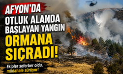 Afyon'da otluk alanda başlayan yangın ormana sıçradı