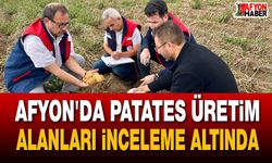Afyon'da patates üretim alanları inceleme altında