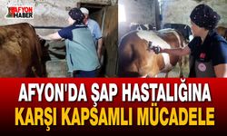 Afyon’da şap hastalığına karşı kapsamlı mücadele