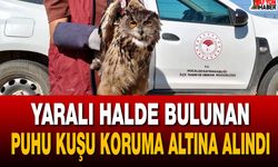 Afyon’da yaralı halde bulunan Puhu Kuşu koruma altına alındı