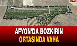 Afyon'da Bozkırın Ortasında Vaha