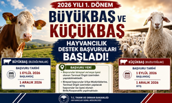 Büyükbaş ve küçükbaş hayvancılık destek başvuruları başladı