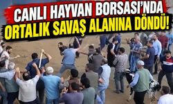 Canlı Hayvan Borsası’nda ortalık savaş alanına döndü!