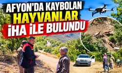 Afyon’da kaybolan hayvanlar İHA ile bulundu