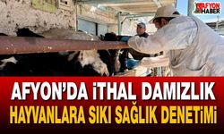 Afyon’da ithal damızlık hayvanlara sıkı sağlık denetimi