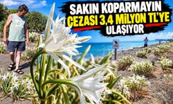 Sakın koparmayın cezası 3,4 milyon TL'ye ulaşıyor