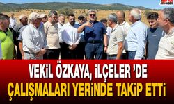 Milletvekili Özkaya, İlçeler ’de Çalışmaları Yerinde Takip Etti