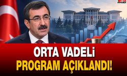 Orta Vadeli Program açıklandı! Gözler enflasyon hedefinde