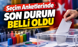Seçim anketlerinde son durum belli oldu