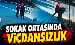 Sokak ortasında vicdansızlık