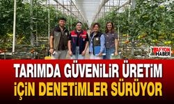 Tarımda güvenilir üretim için denetimler sürüyor