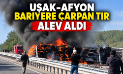 Uşak-Afyon yolunda bariyere çarpan tır alev aldı