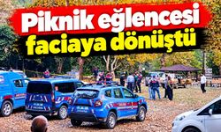 Piknik eğlencesi faciaya dönüştü