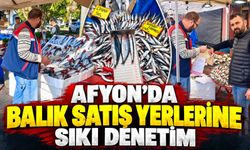 Afyon’da balık satış yerlerine sıkı denetim