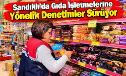 Sandıklı’da Gıda İşletmelerine Yönelik Denetimler Sürüyor