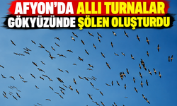 Afyon'da Allı Turnalar Gökyüzünde Şölen Oluşturdu