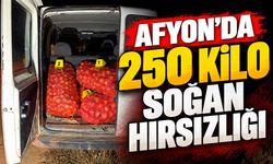 Afyon’da 250 Kilo Soğan Hırsızlığı