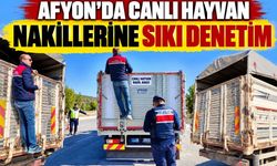 Afyon’da canlı hayvan nakillerine sıkı denetim