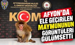Afyon’da ele geçirilen maymunun görüntüleri gülümsetti