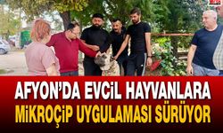 Afyon’da evcil hayvanlara mikroçip uygulaması sürüyor