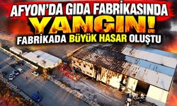 Afyon’da gıda fabrikasında yangın! Fabrikada büyük hasar oluştu