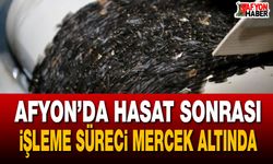 Afyon’da hasat sonrası işleme süreci mercek altında