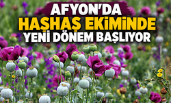 Afyon’da Haşhaş Ekiminde Yeni Dönem Başlıyor