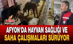 Afyon'da hayvan sağlığı ve saha çalışmaları sürüyor
