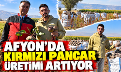 Afyon'da kırmızı pancar üretimi artıyor