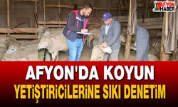Afyon'da koyun yetiştiricilerine sıkı denetim