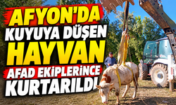 Afyon’da Kuyuya Düşen Hayvan AFAD Ekiplerince Kurtarıldı