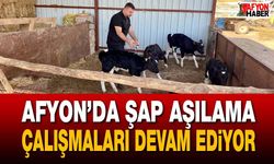 Afyon’da şap aşılama çalışmaları devam ediyor
