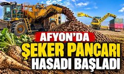 Afyon’da şeker pancarı hasadı başladı
