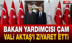 Bakan Yardımcısı Çam, Vali Aktaş'ı ziyaret etti