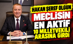 Hakan Şeref Olgun Meclisin En Aktif 10 Milletvekili Arasına Girdi