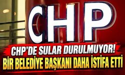 CHP'de sular durulmuyor! Bir belediye başkanı daha istifa etti