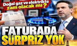Kış öncesi doğalgaz ve elektriğe zam yok