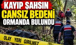 Kayıp şahsın cansız bedeni ormanda bulundu