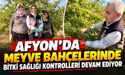 Afyon’da meyve bahçelerinde bitki sağlığı kontrolleri devam ediyor