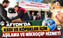 Afyon'da kedi ve köpekler için aşılama ve mikroçip hizmeti