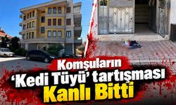 Komşuların 'kedi tüyü' tartışması kanlı bitti