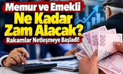 Memur ve emekli ne kadar zam alacak?