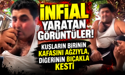 Cani adam kuşların birinin kafasını ağzıyla, diğerinin bıçakla kesti