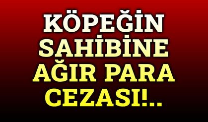Köpeğin sahibine ceza