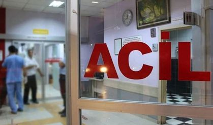 Besi çiftliğinde facia!..