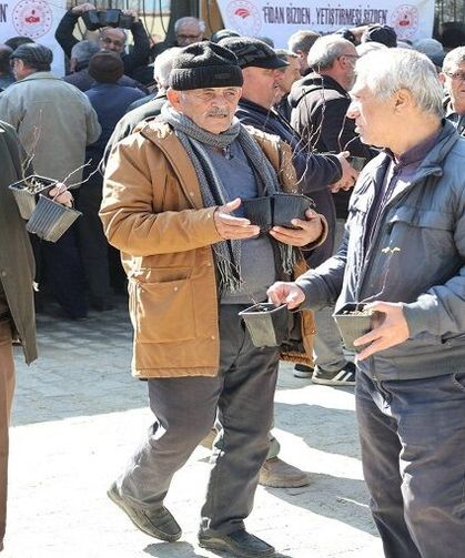 Üreticilere ücretsiz fidan dağıtımı yapıldı