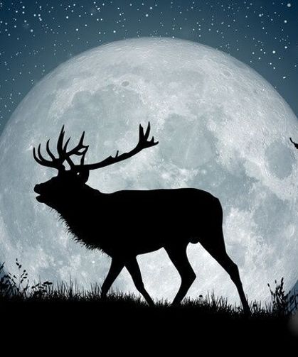 2026 Temmuz Dolunayı Ne Zaman, Saat Kaçta Gerçekleşecek? Burçlara Etkileri Neler?