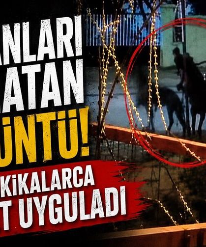 Vicdanları sızlatan görüntü! Ata dakikalarca şiddet uyguladı